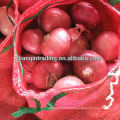 red onion supplier